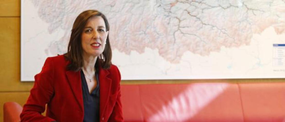 Foto Vicepresidente Móvil COGERSA