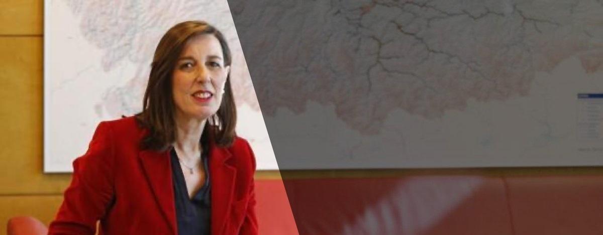 Vicepresidente COGERSA