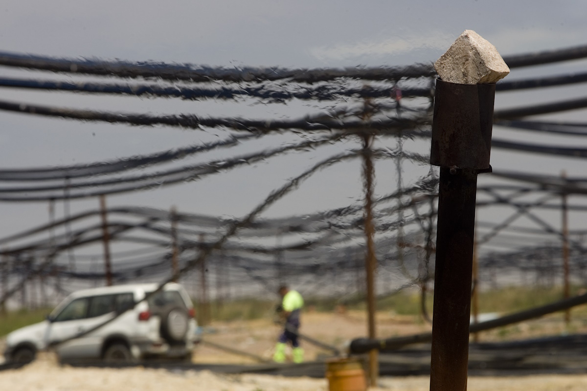 Foto 2 noticia del 1 de diciembre de 2025